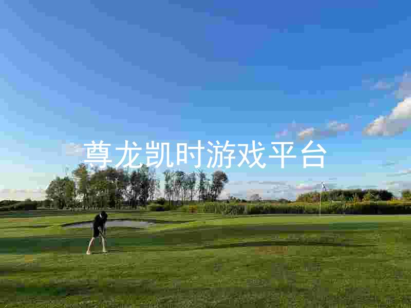 尊龙凯时游戏平台
