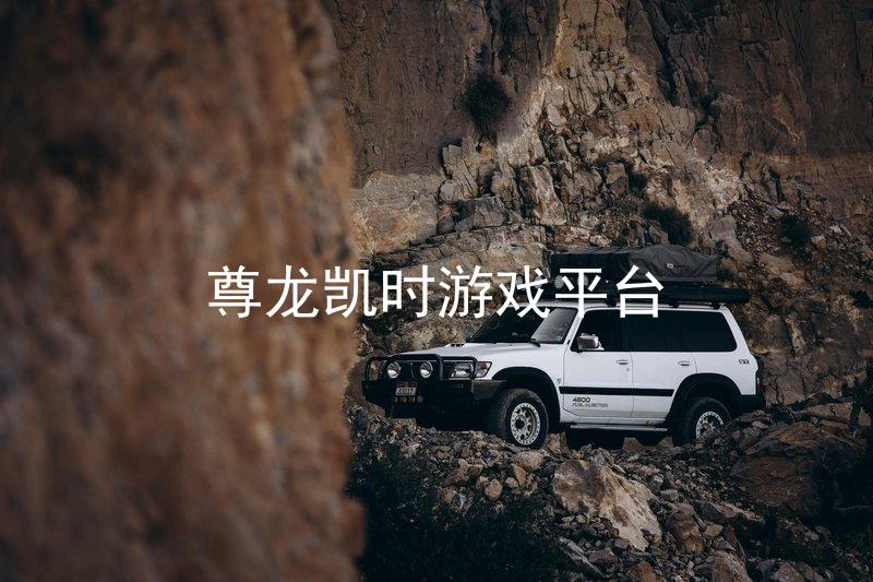尊龙凯时游戏平台