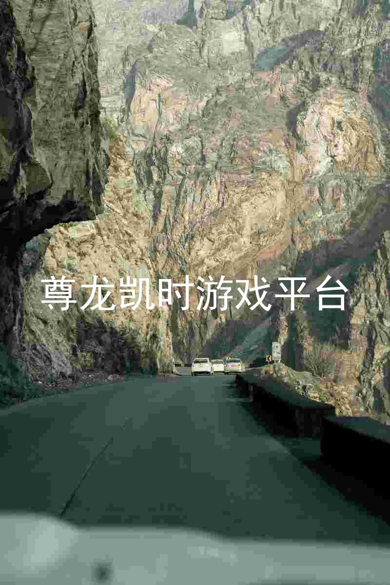 尊龙凯时游戏平台