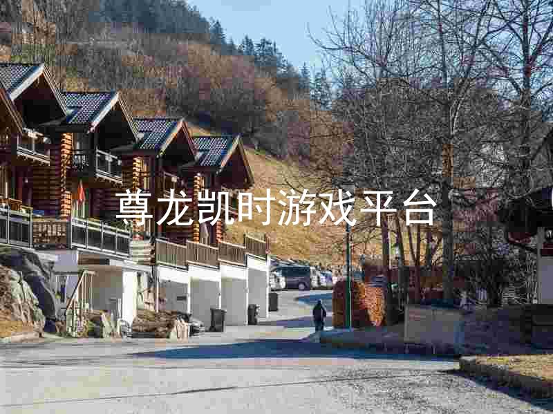 尊龙凯时游戏平台