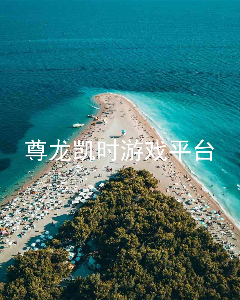 尊龙凯时游戏平台