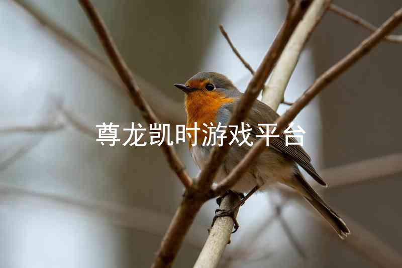 尊龙凯时游戏平台