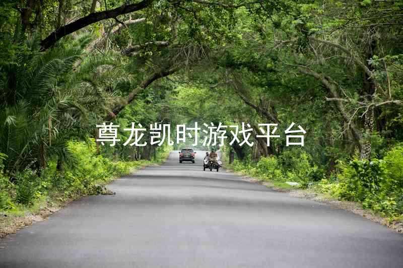 尊龙凯时游戏平台